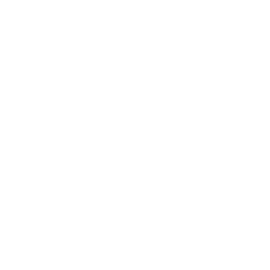 NG Auto Haullers White Logo